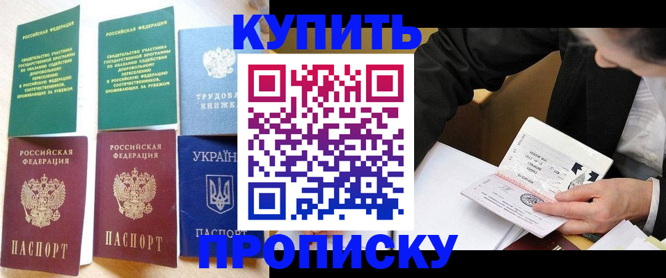 прописка для школы в Закаменске